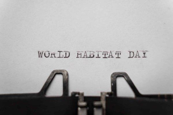 Comment créer un habitat adapté pour des grenouilles d'aquarium exotiques ?